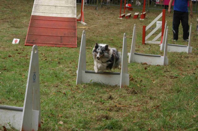 foire-haricots 2011-09-17et18